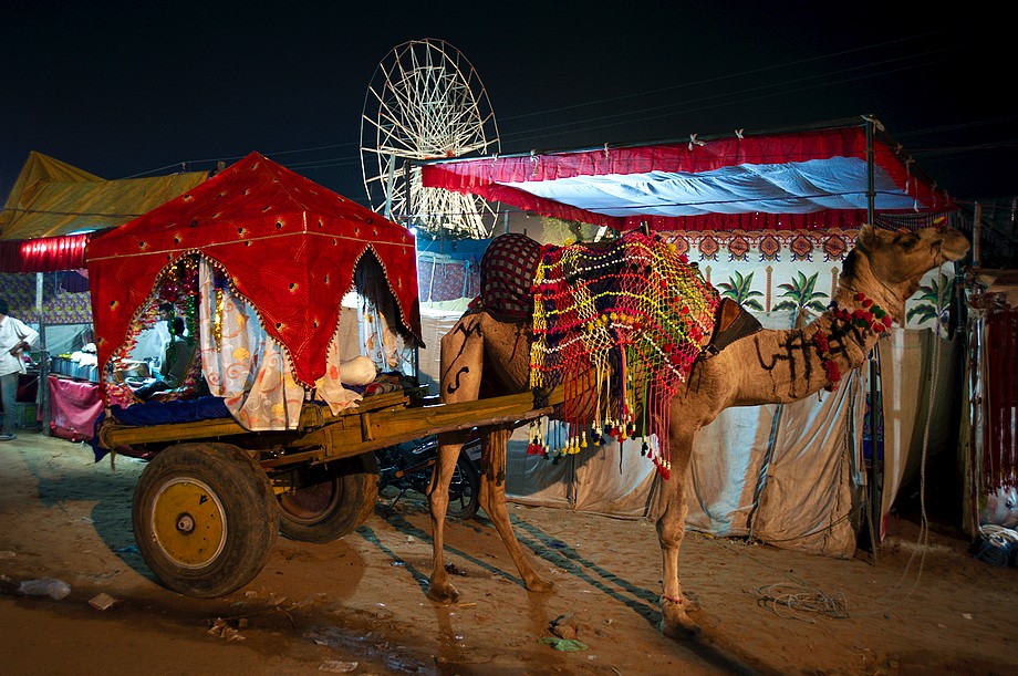 Pushkar Camel Fair - Zdjęcie 7 z 36
